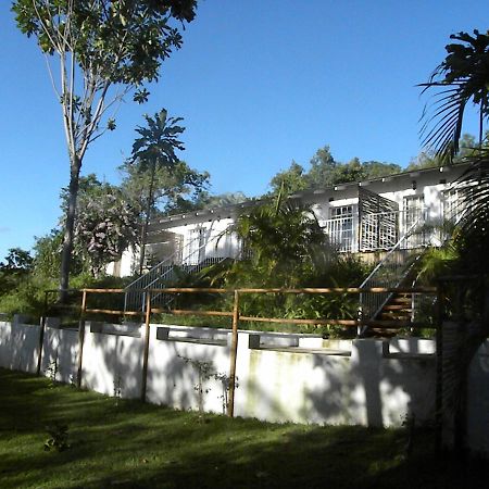Bush Baby Glen Villa Hazyview Exterior photo
